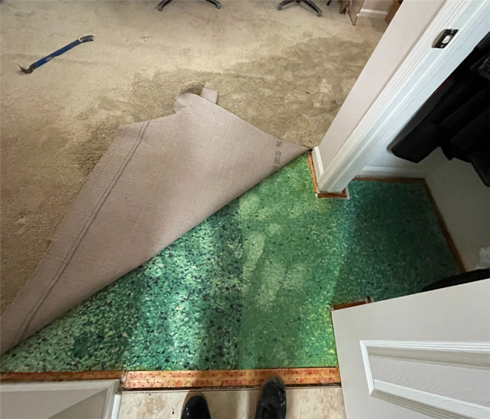 Water damage carpet in Edison, NJ