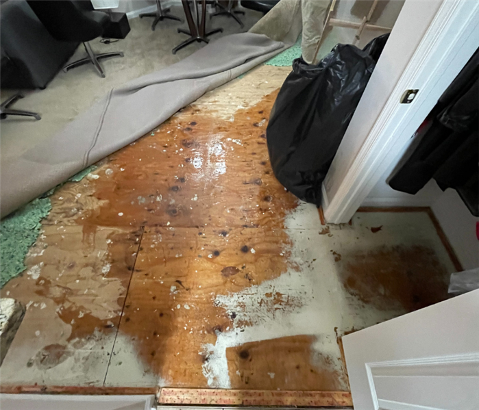 Carpet water damage in Edison, NJ
