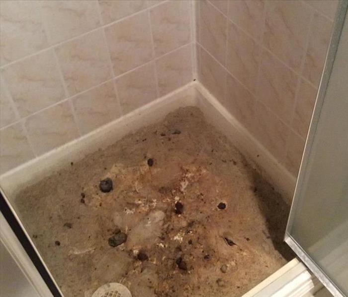A sewage filled shower base