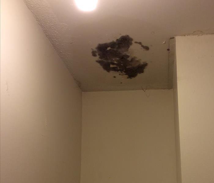 Visible mold on a closet ceiling 