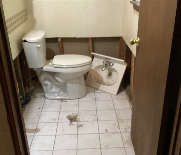 Bathroom Mold Removal Near Me in Edison, NJ